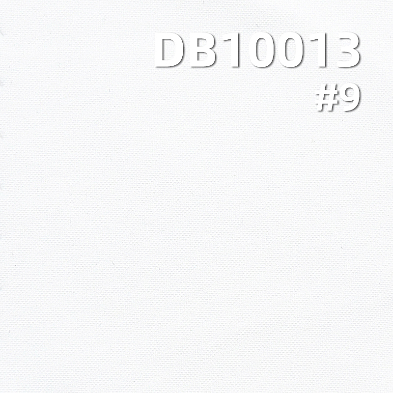 Ultra-Thin Velvety Polyester Dyed Fabric | 100g/m² 4-Way Stretch Fabric | Butterfly mesh fabric|Outdoor Wear Material