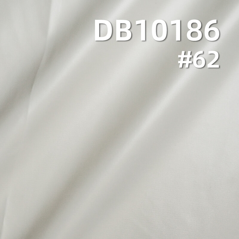 58g/m² Nylon Waterproof Dyeing Fabric |20D Matte Ripstop | Glossy Fabric |Down Coats, Puffer Jackets Fabric
