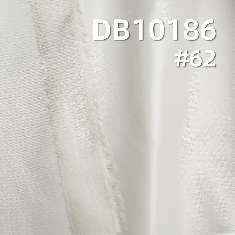 58g/m² Nylon Waterproof Dyeing Fabric |20D Matte Ripstop | Glossy Fabric |Down Coats, Puffer Jackets Fabric