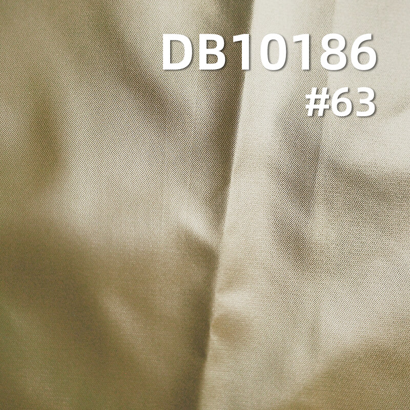 58g/m² Nylon Waterproof Dyeing Fabric |20D Matte Ripstop | Glossy Fabric |Down Coats, Puffer Jackets Fabric