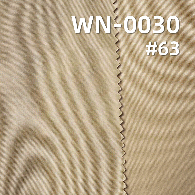 Nylon 66 | 280T Nylon Taffeta | Polyamide 66 |56g/m2 Polyamide Fabric | Waterproof Oily Luster | Outdoor Fabric