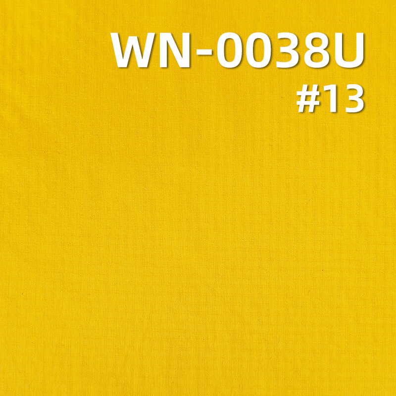 38g/m2 Nylon 66 Double Ripstop (0.2*0.2) | Downproof Coating | Waterproof | Outdoor & Padded Jacket Fabric