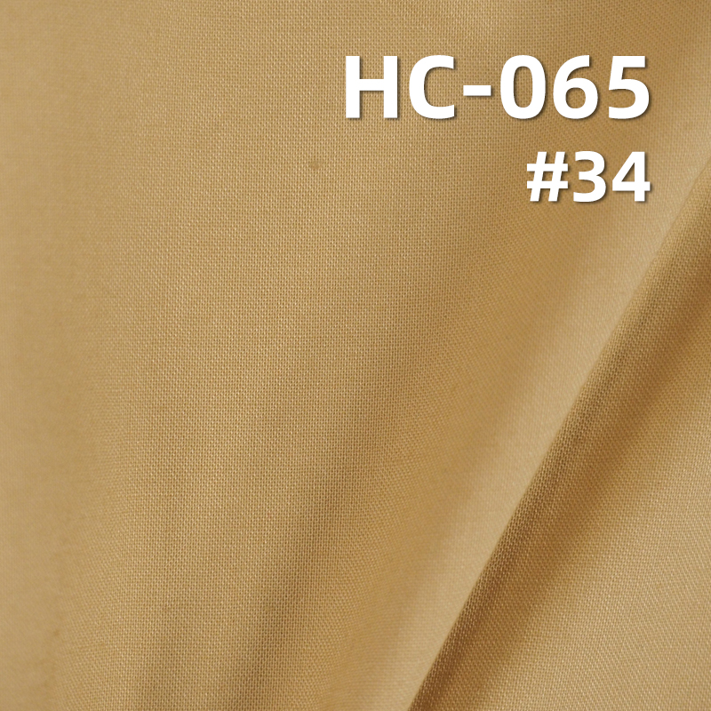 Cotton Poplin | 60S High-Density Plain Weave Like-Tencel | 100g/m² Silky Finishing Woven Fabric | Shirt & Dress Material