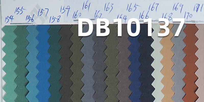 Nylon Dyed Fabric | 82g/m² Enhanced Cotton-Feel Nylon Crinkle Fabric | Waterproof | Outdoor Mountaineering Clothing & Windbreaker Fabric