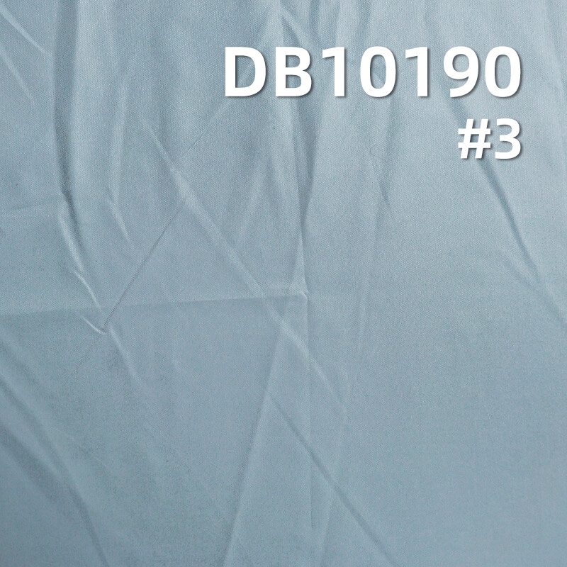 58g/m² Nylon Dyed Fabric | 20D Matte Nylon Downproof Fabric | Nylon Taffeta Dyed Fabric | Glossy Nylon Waterproof Fabric | Jacket Outerwear, Coat Fabric