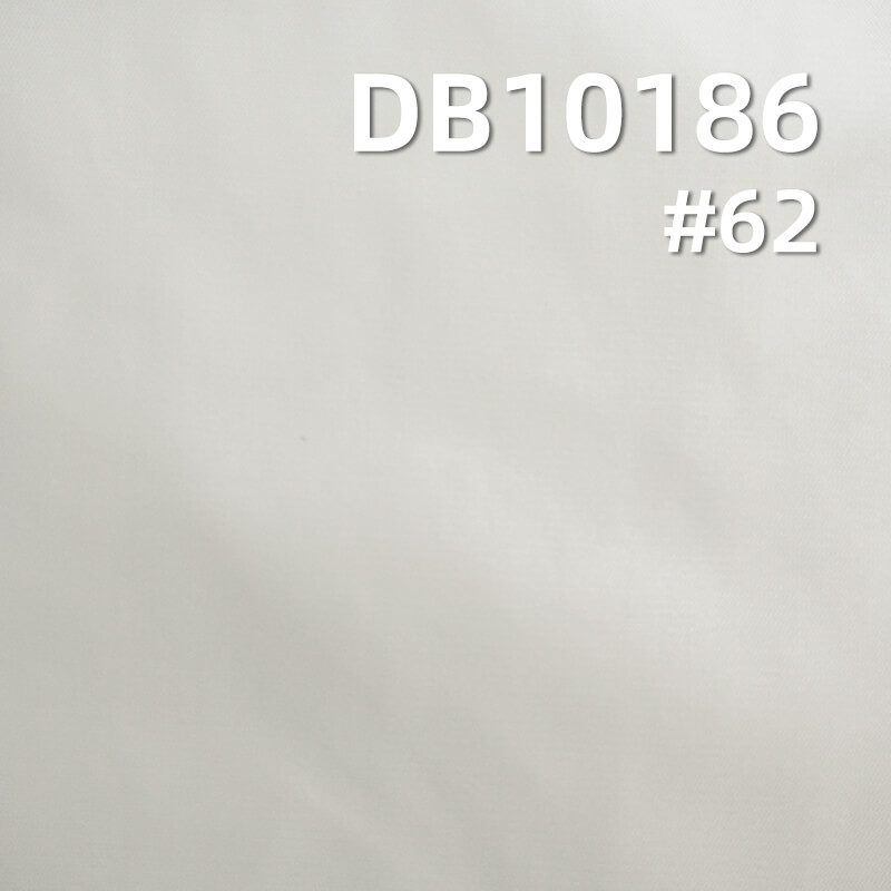 58g/m² Nylon Waterproof Dyeing Fabric |20D Matte Ripstop | Glossy Fabric |Down Coats, Puffer Jackets Fabric