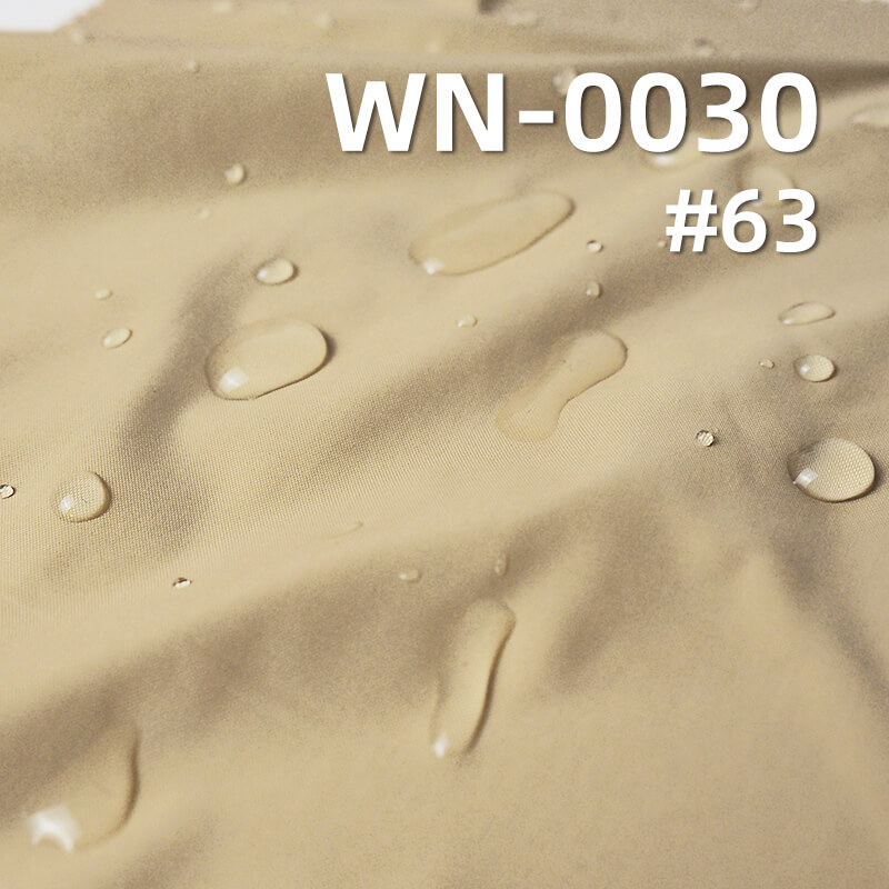 Nylon 66 | 280T Nylon Taffeta | Polyamide 66 |56g/m2 Polyamide Fabric | Waterproof Oily Luster | Outdoor Fabric