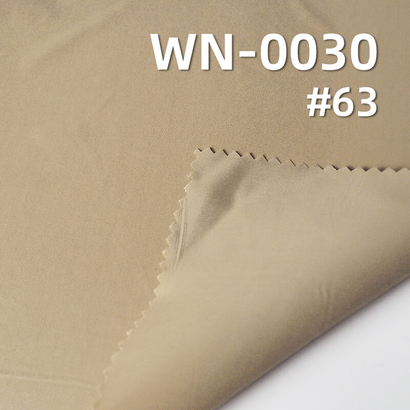 Nylon 66 | 280T Nylon Taffeta | Polyamide 66 |56g/m2 Polyamide Fabric | Waterproof Oily Luster | Outdoor Fabric