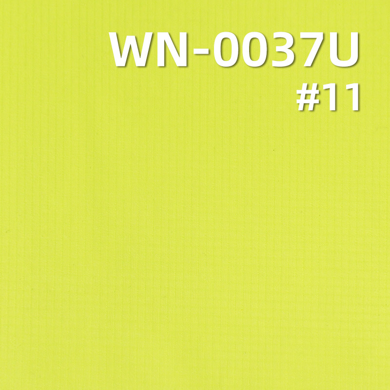 42g/m2 Nylon 66 Double Ripstop(0.15cm*0.15cm) | Downproof Coating | Waterproof | Outdoor Apparel Fabric